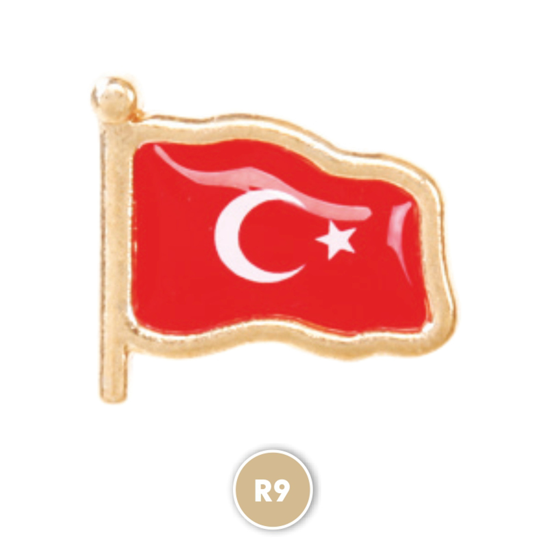 R9 Sarı Rozet resmi